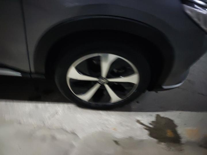 Song PLUS EV 2021 DM-i 110KM Flagship photo 8