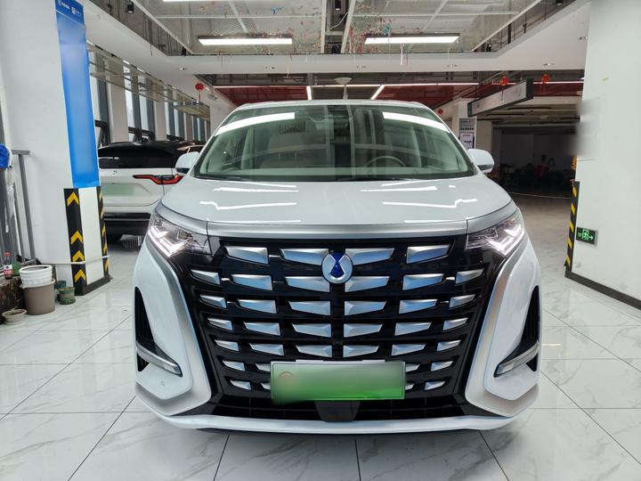 D9 2022 DM-i 970 AWD Noble photo 2