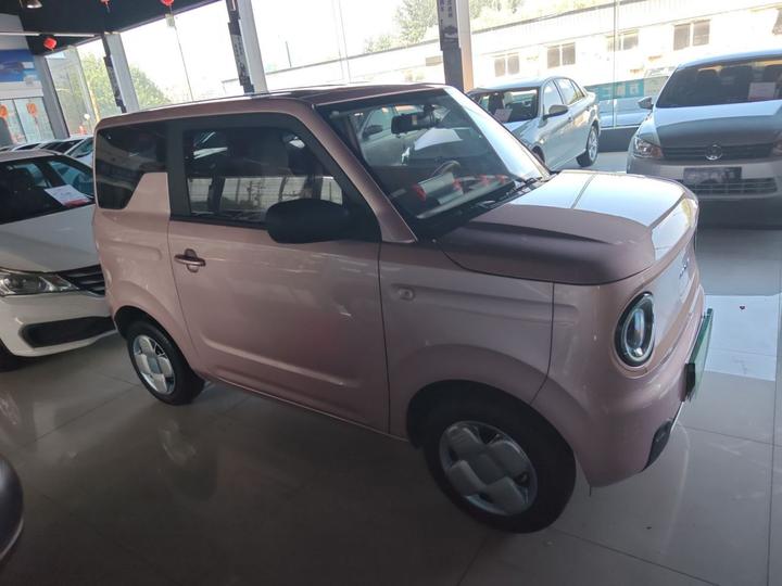 2024 Panda mini 200km Endurance Bear photo 3