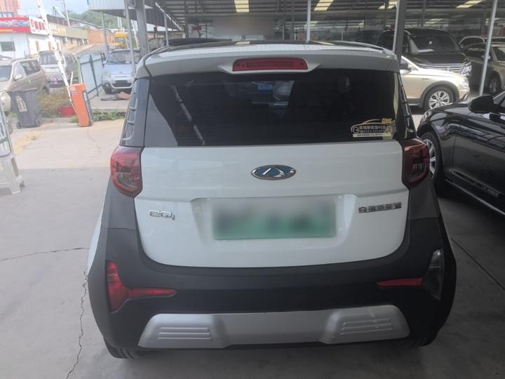 QQ Little Ant 2021 15 LFP photo 3