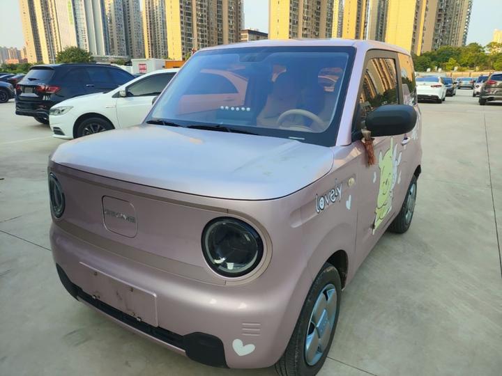 2023 Panda mini 200km Endurance Bear