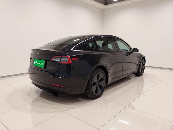 Model 3 2021 Facelift Standard Range RWD Upgraded 3D1 photo 4