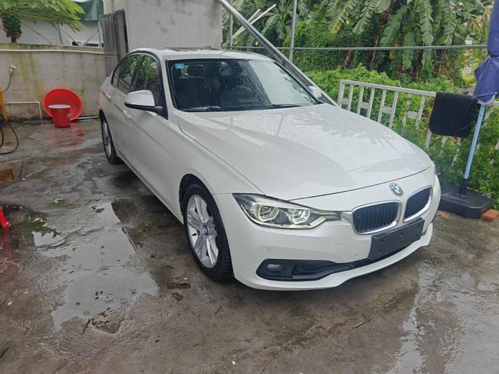 3 Series 2018 318i photo 3