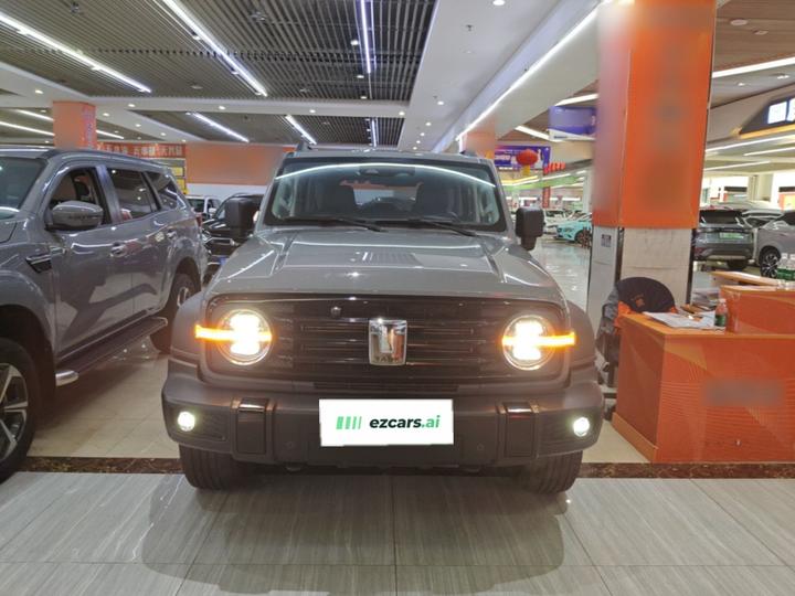 300 2021 Off-road 2.0T Conqueror photo 2