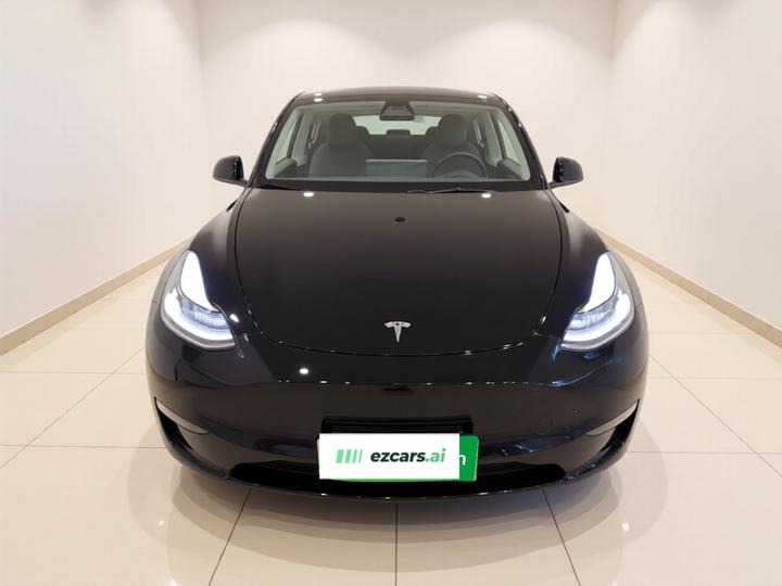 Model Y 2021 Standard Range RWD photo 2
