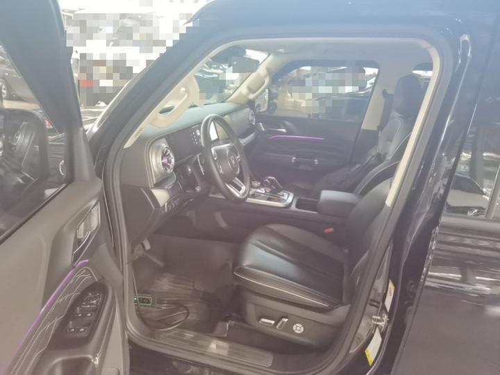 300 2023 Off-road 2.0T Conqueror photo 6