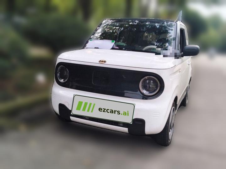 2023 Panda mini 200km
