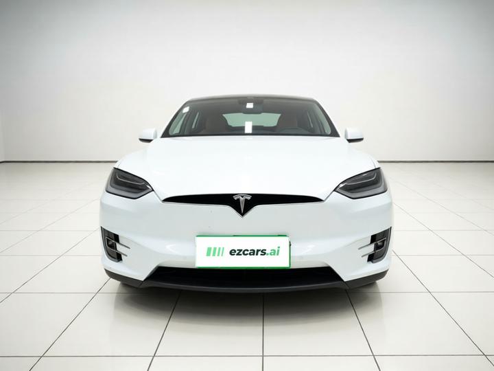 Model X 2019 Performance Performance photo 2