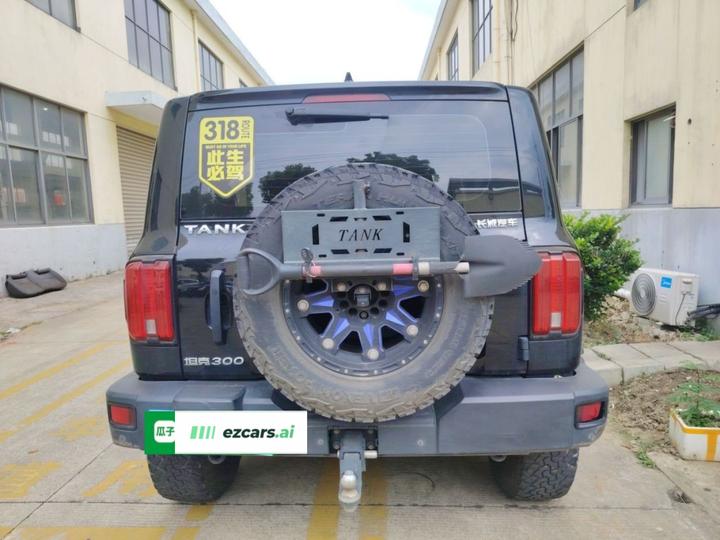 300 2023 Off-road 2.0T Conqueror photo 5