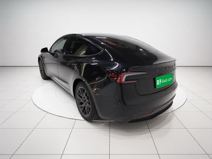 Model 3 2023 RWD photo 4