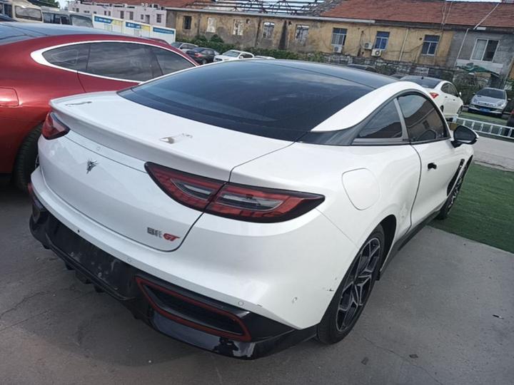 Neta GT 2023 560 photo 4
