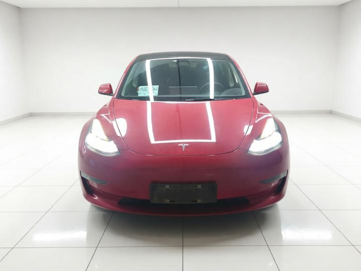Model 3 2021 Performance AWD photo 2