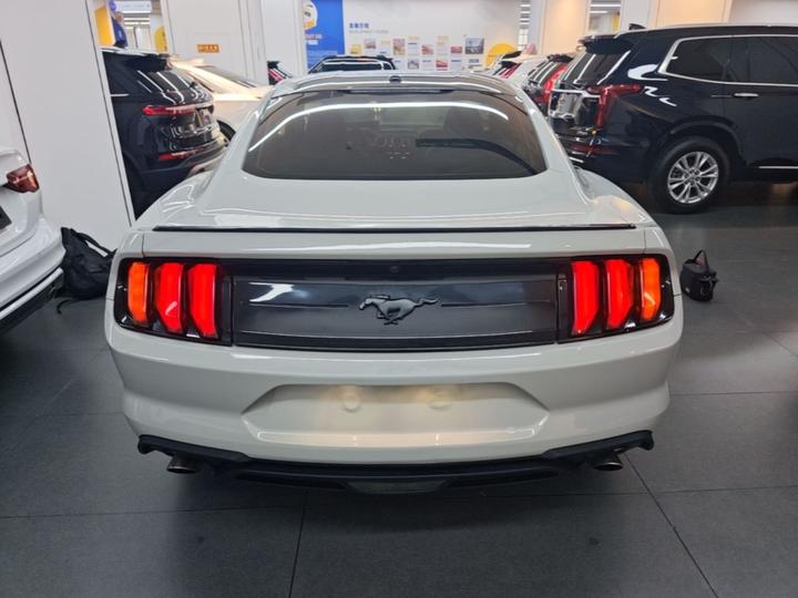 Mustang Parallel Import photo 3