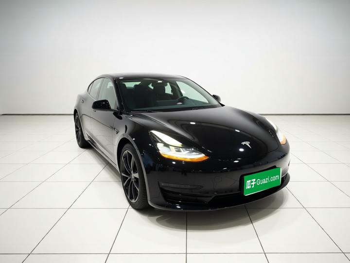 Model 3 2021 Performance AWD photo 3