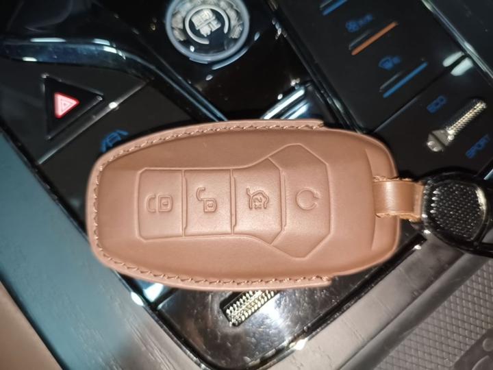 Han 2020 EV Extended Range Premium photo 8