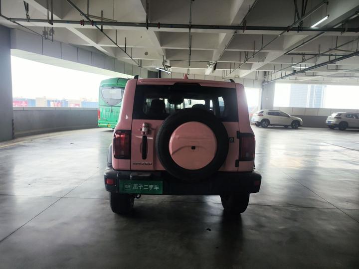 300 2021 Off-road 2.0T photo 6