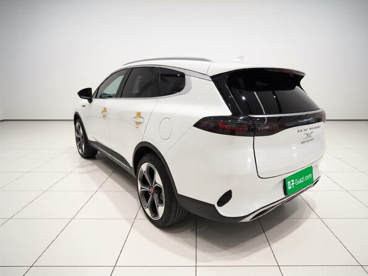 X 2020 PHEV Flagship photo 4