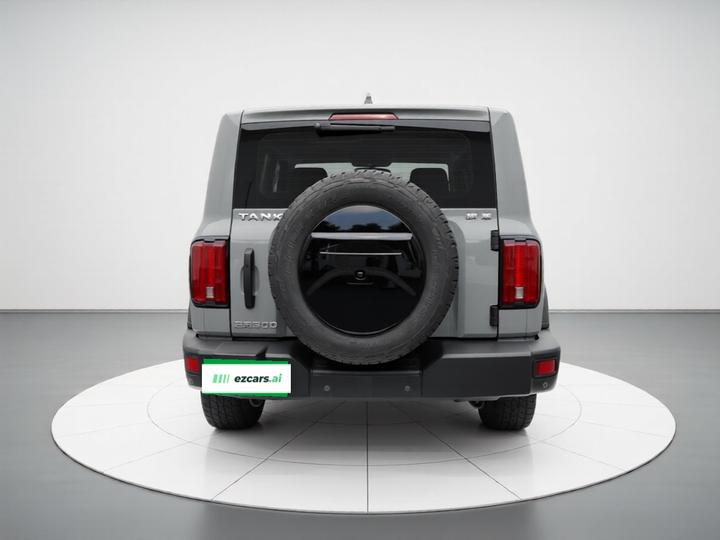 300 2021 Off-road 2.0T Conqueror photo 5
