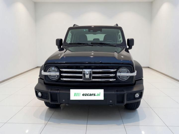 300 2021 Off-road 2.0T Conqueror photo 2
