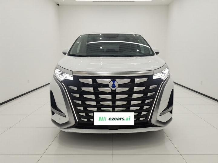 D9 2024 DM-i 980 AWD Noble photo 2