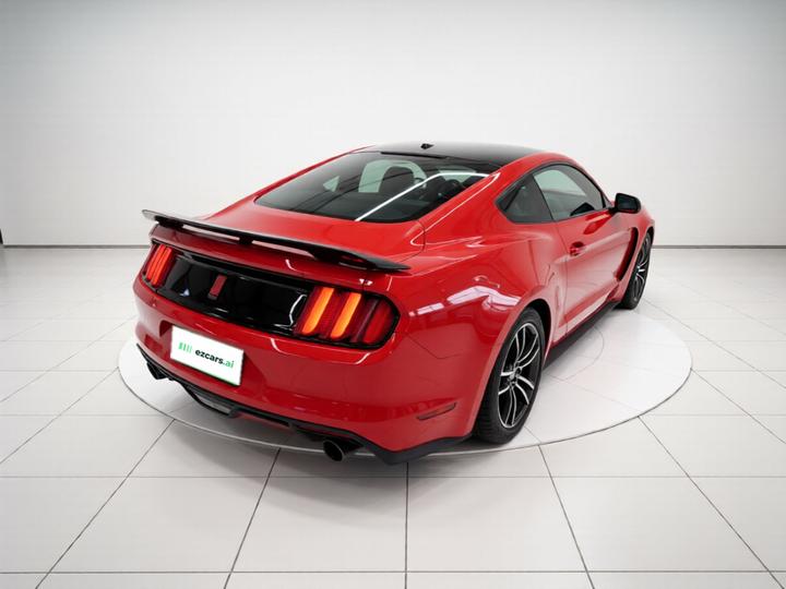 Mustang Parallel Import photo 4