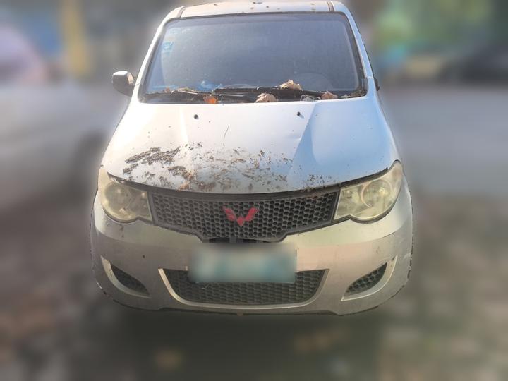 Wuling Hongguang 2010 1.2L Base IV photo 2