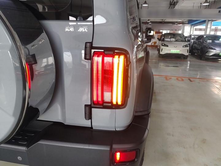 300 2021 Off-road 2.0T Conqueror photo 7