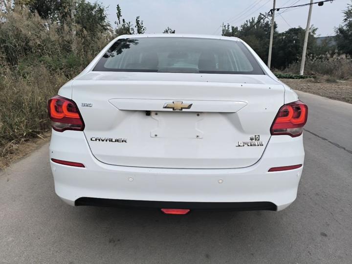 Cavalier 2019 320 AT photo 3