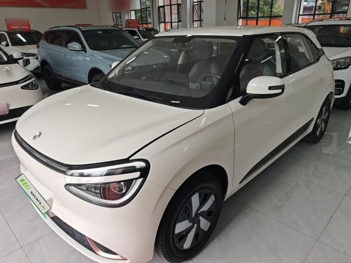 Nammi 01 2025 330