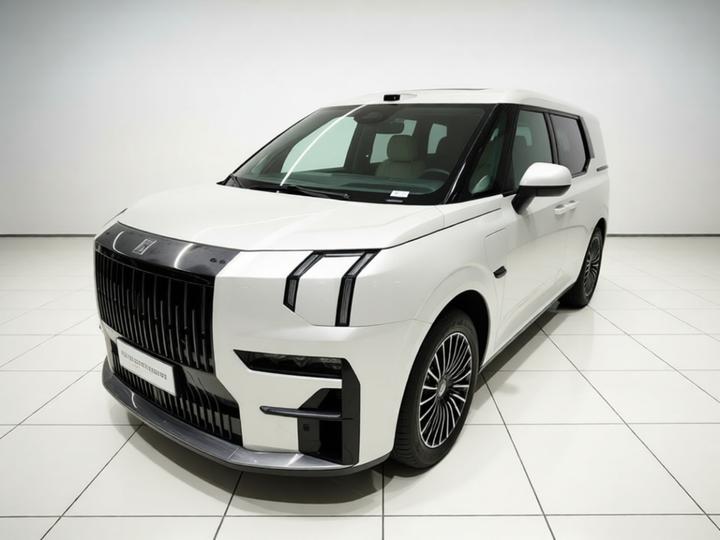 009 2024 7-Seater AWD 108kWh photo 2
