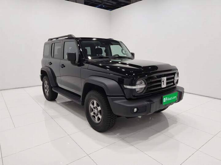 300 2024 2.0T Conqueror photo 3