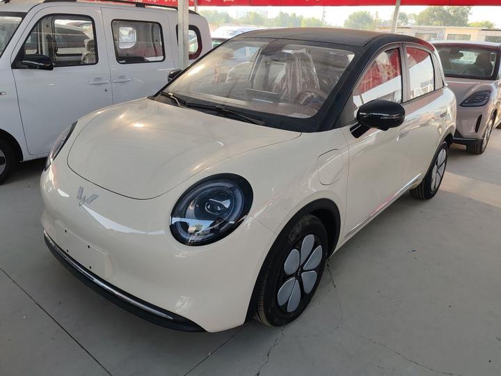 Bingo Pro 2026 330km Exclusive