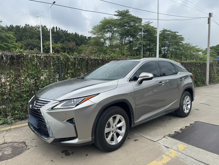 RX 2016 300 RWD Elite China V
