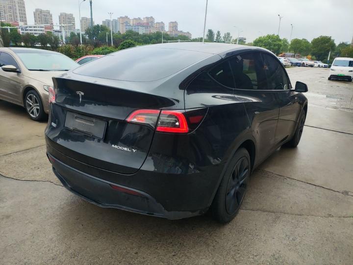Model Y 2024 RWD photo 4