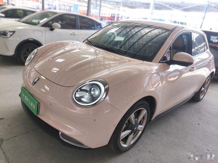 Good Cat 2022 400km Standard Range Luxury NCM