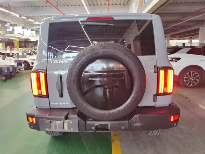 300 2021 Off-road 2.0T Conqueror photo 3