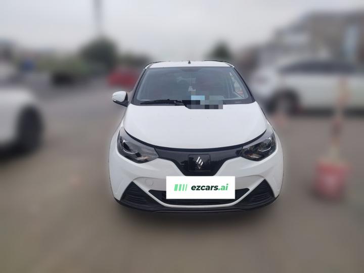 EV EV2 2024 201km Luxury photo 2