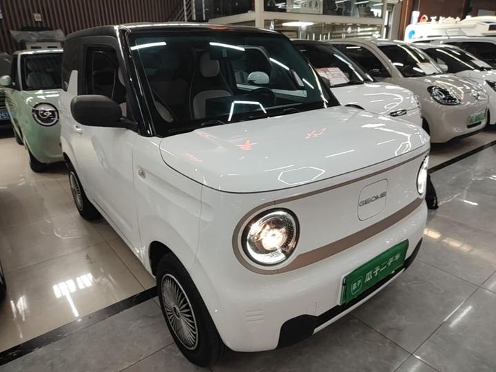 2023 Panda mini 200km Endurance Bear photo 3