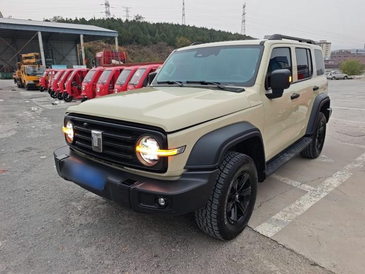 300 2025 2.0T Petrol Conqueror