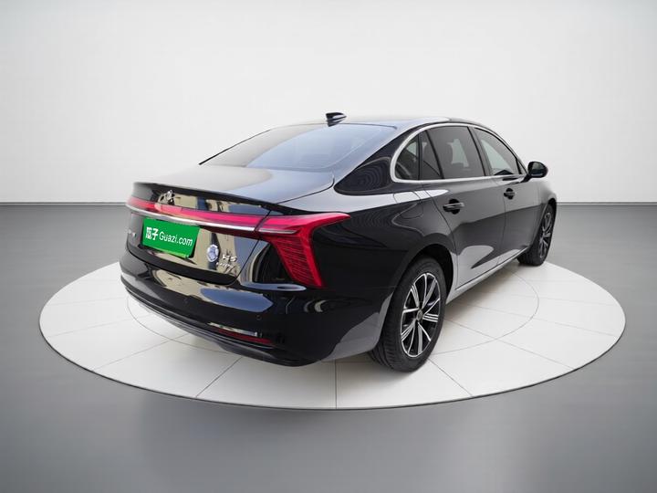 H5 PHEV 2025 130 photo 4