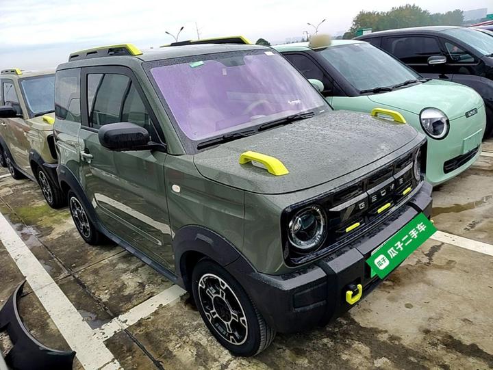 2025 210km Panda photo 3