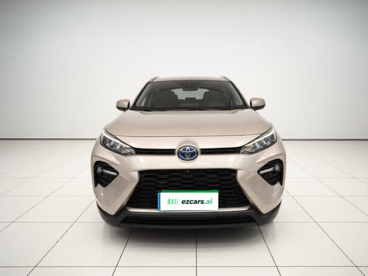 Wildlander 2020 Hybrid 2.5L E-CVT RWD Luxury photo 2