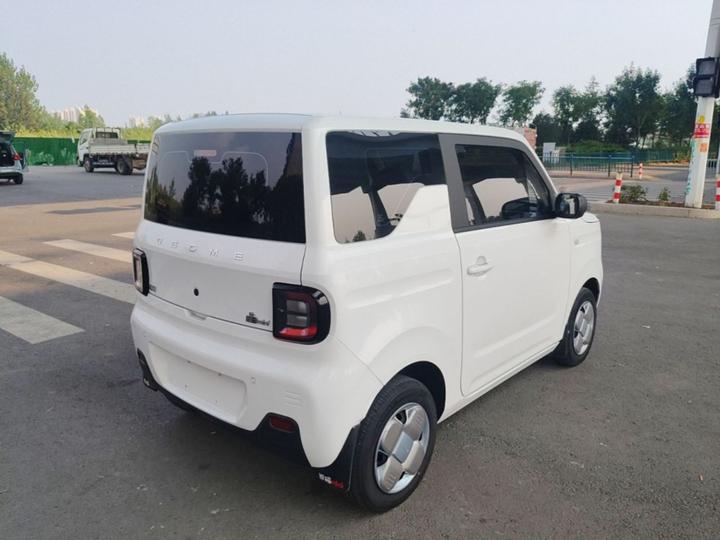 2023 Panda mini 200km Endurance Bear photo 4