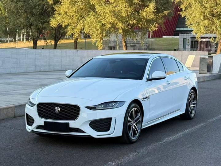 XEL 2024 2.0T 250PS R-DYNAMIC S Progressive Sport