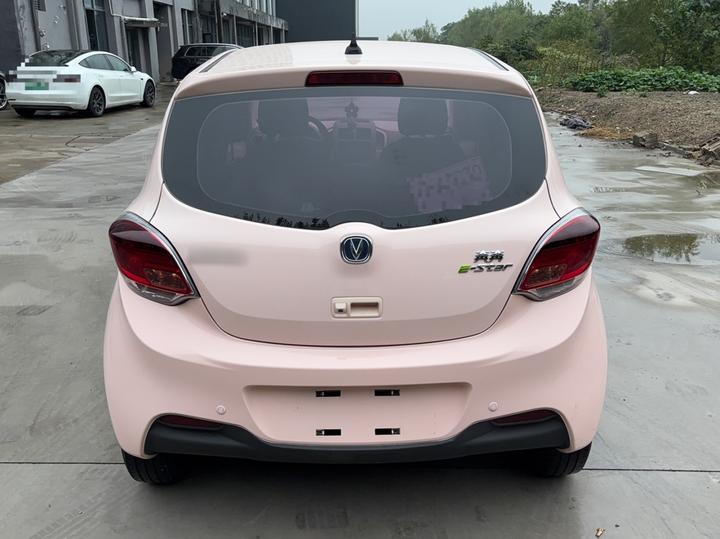 Benni E-Star 2021 LFP 31.18kWh photo 3