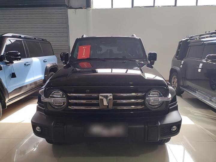 300 2024 2.0T photo 2