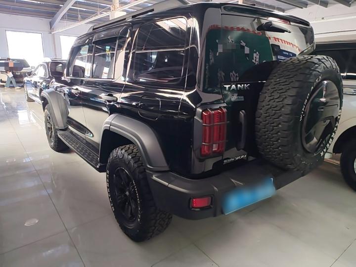 300 2023 Off-road 2.0T Conqueror photo 4