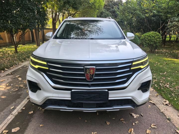 RX5 MAX 2019 300TGI AT 4G Luxury photo 2