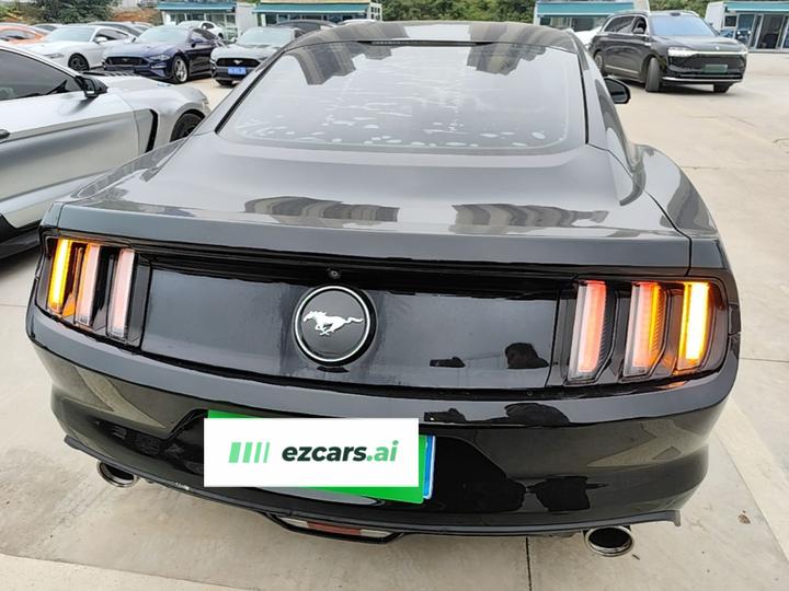 Mustang 2015 2.3T Performance photo 5