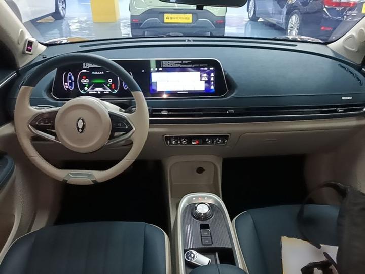 Good Cat 2021 400km Standard Range LFP photo 5